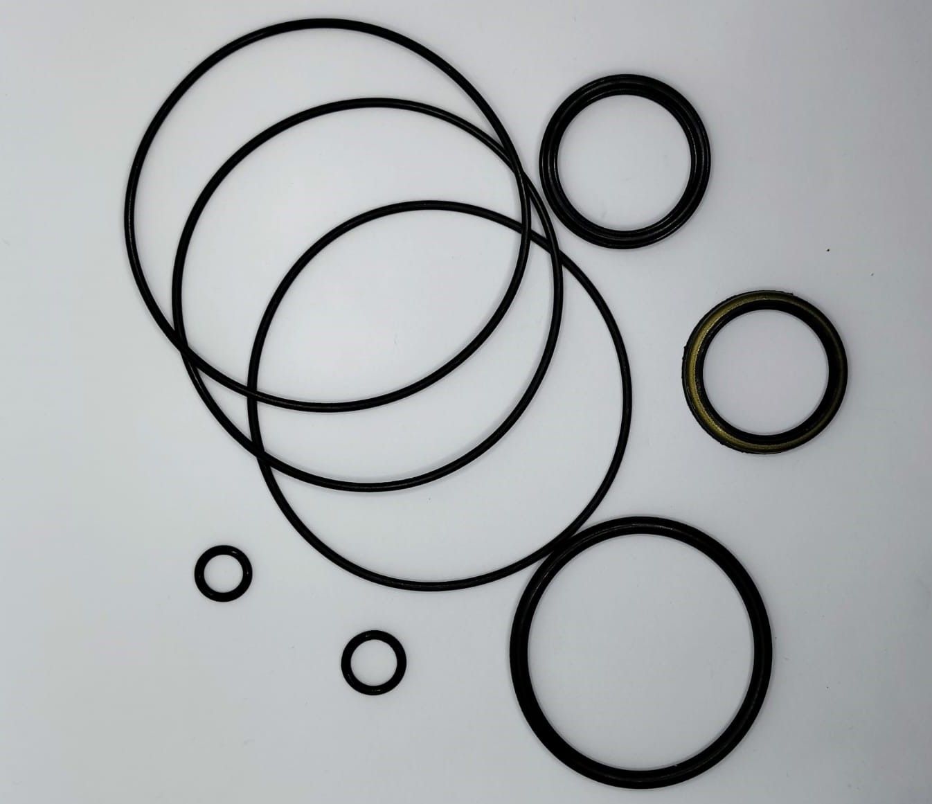 REP MOTOR CHARLYNN SERIE 4, 6, 12, 64466-000