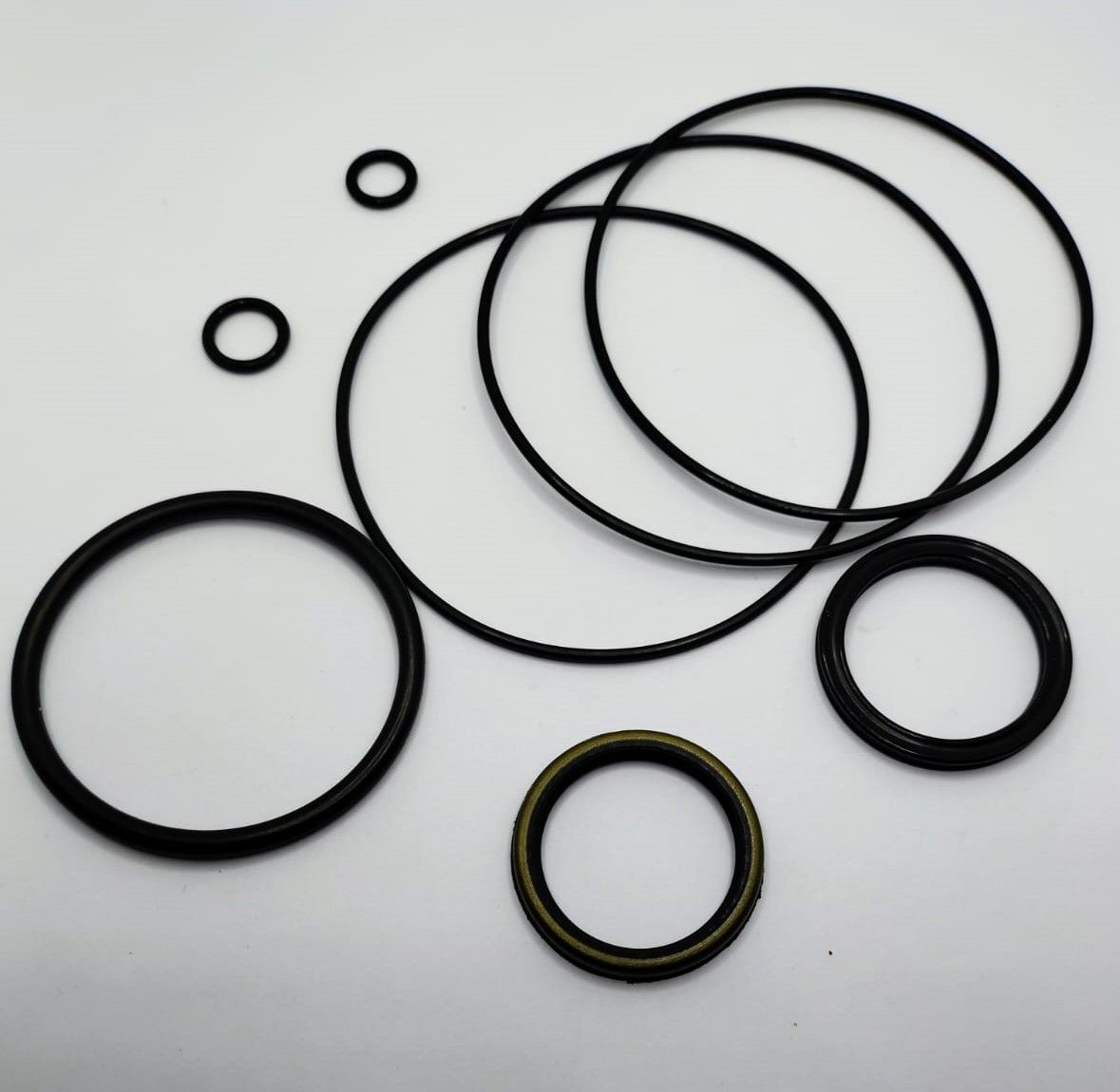 REP MOTOR CHARLYNN SERIE 4, 6, 12, 64466-000